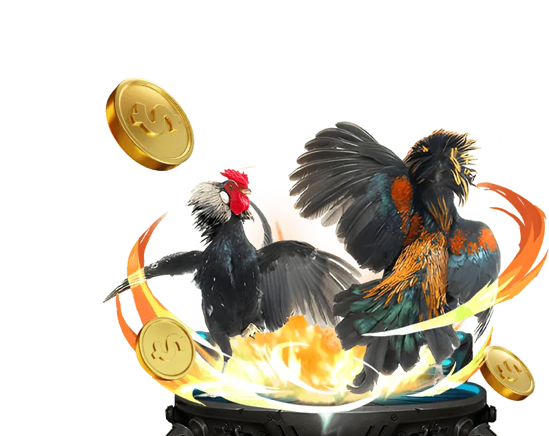 Quy trình tham gia đối tác debet vip